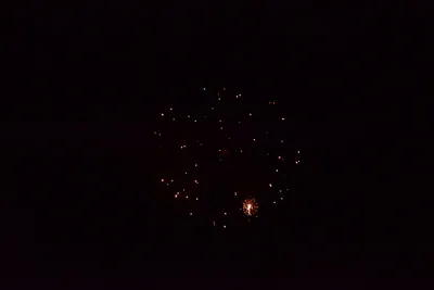 DSC_3376 (Large).JPG